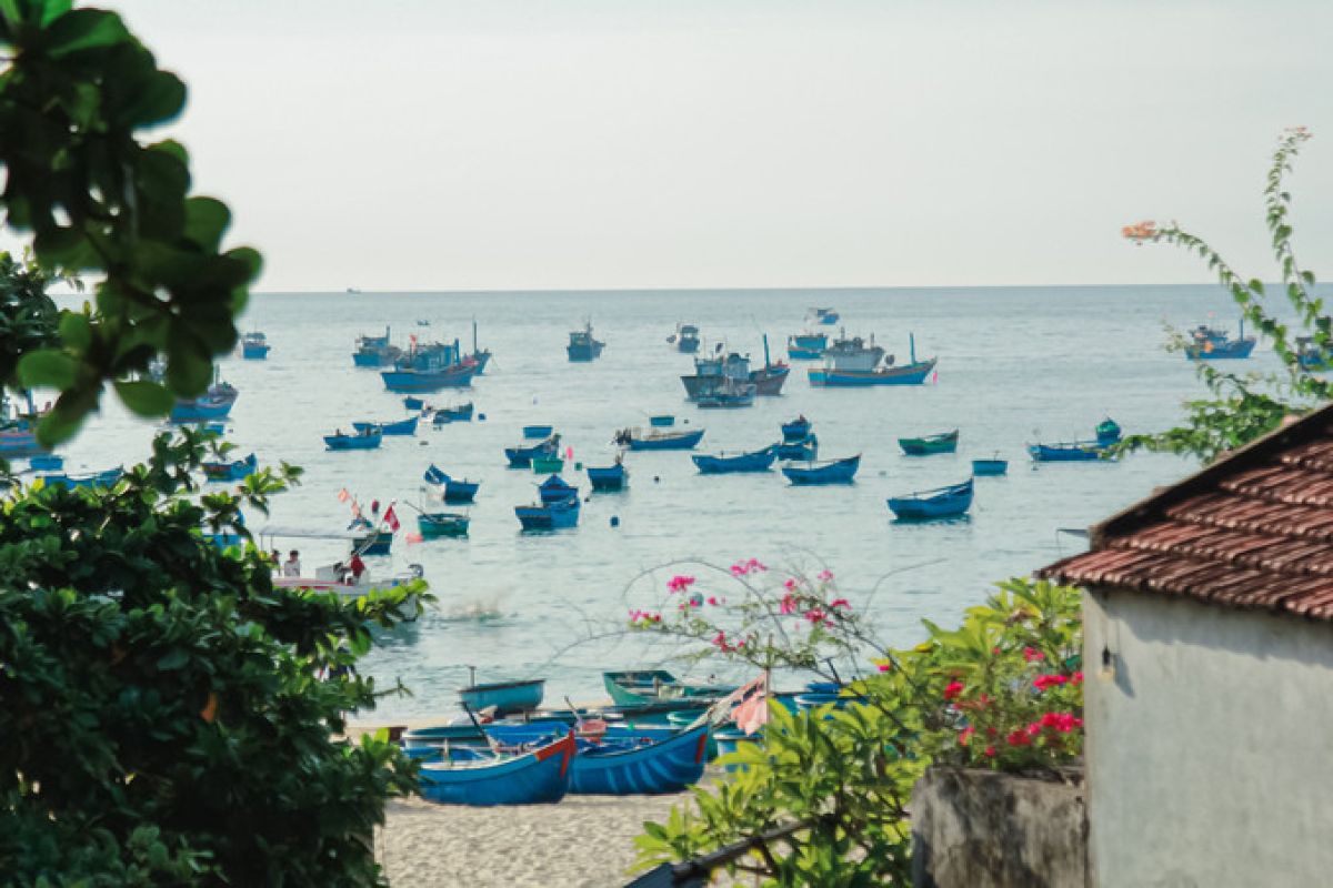 LÀNG CHÀI VEN BIỂN ĐẸP NHẤT XỨ "HOA VÀNG TRÊN CỎ XANH"