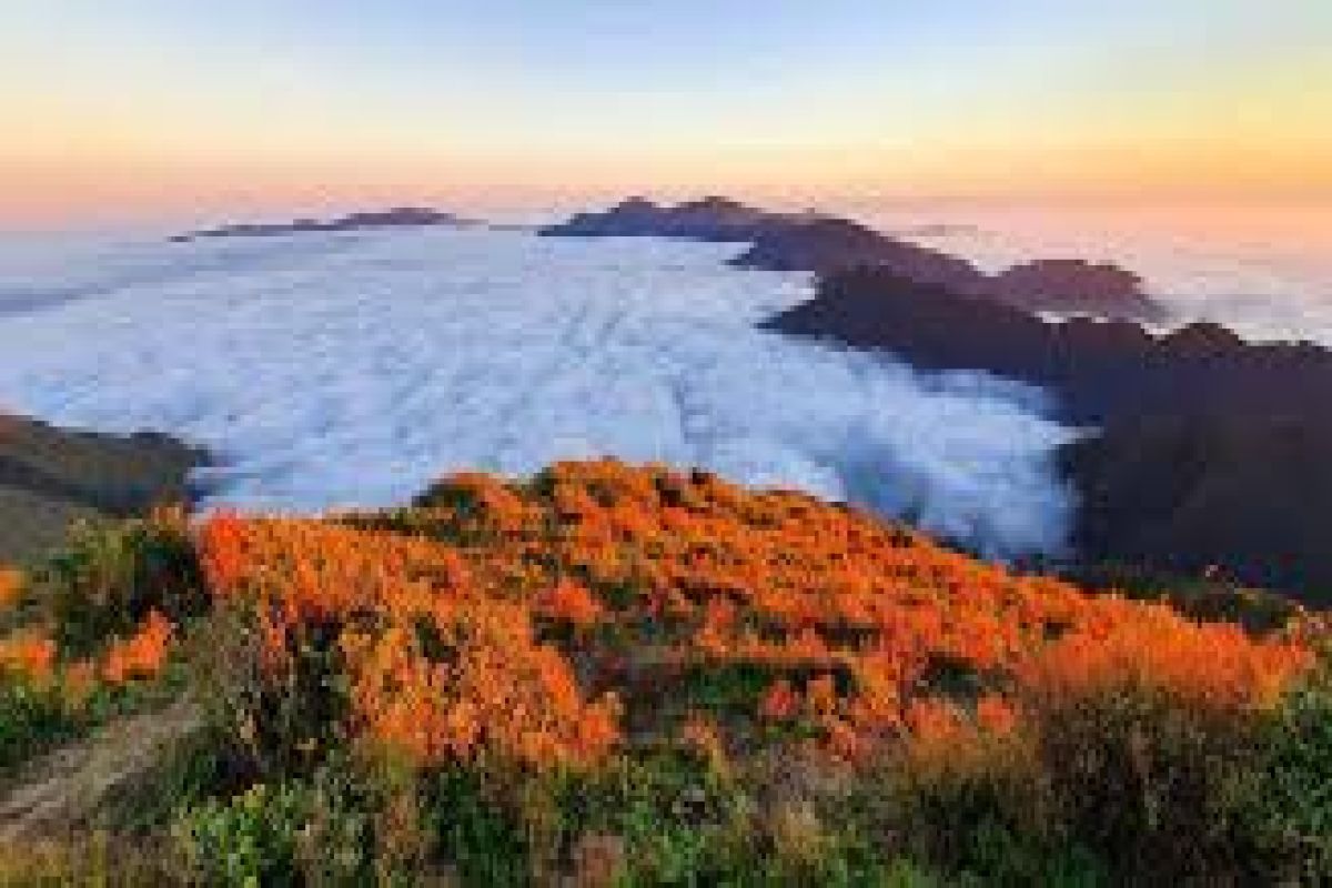 "Thiên đường mây tím" cao 3.000m hút hàng nghìn người tới check-in: Top 7 ngọn núi cao nhất Việt Nam, chỉ cách Hà Nội 250km